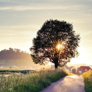 我存在的意义 伴奏