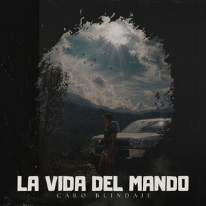 La Vida del Mando
