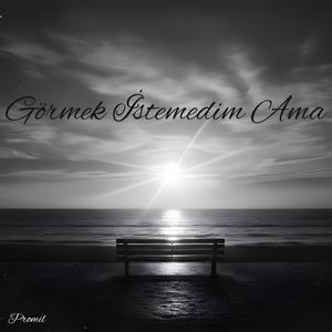 Görmek İstemedim Ama