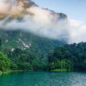 漂洋过海来看你