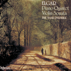 Violin Sonata in E Minor, Op. 82: I. Allegro