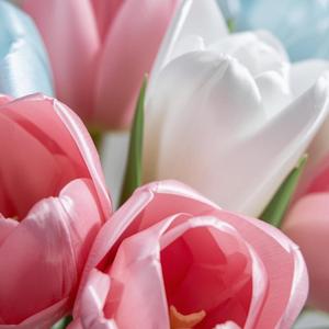 春風のささやき