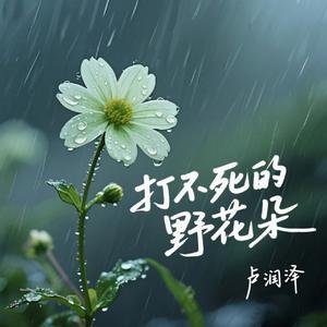 打不死的野花朵