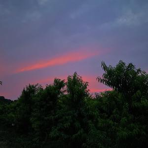 I GOT LOVE（Prod by LRUI17)