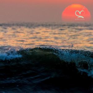 última (feat. Din BEATS, Arándano & Afro Zen)