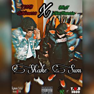 Shake Sum (feat. LilSav28)