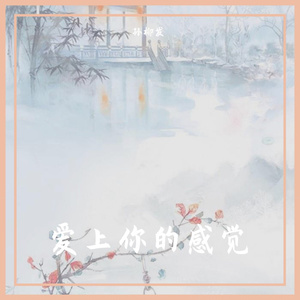 爱上你的感觉