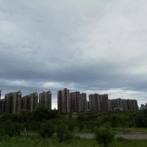 这个世界不会好