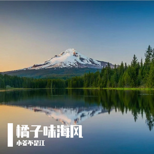 旧爱备忘录