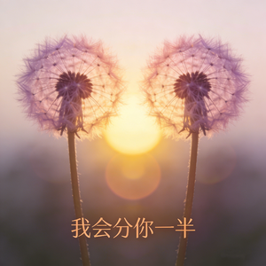 我会分你一半