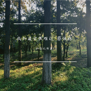 我知道你很难过【cover蔡依林】