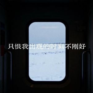 只恨我出现的时刻不刚好