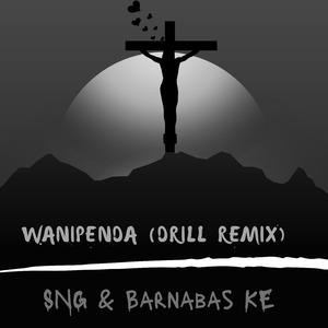 Wanipenda (feat. SNG Snnapy) (Drill Remix)