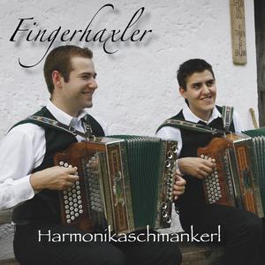 Alpbacher Hirtenboarischer