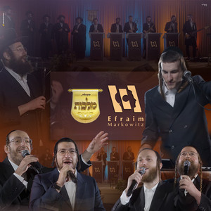 חתונה עם אפרים מרקוביץ