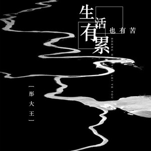 生活有累也有苦 (DJ默涵版)