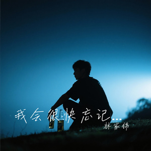 我会很快忘记你