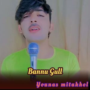 Bannu Gull