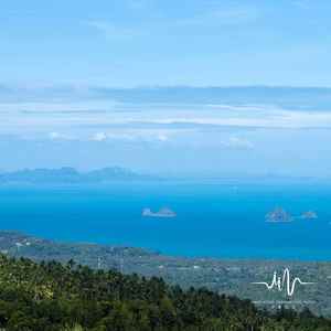 安好的明天 (吉它)