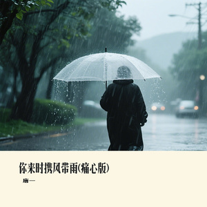 你来时携风带雨(痛心版)