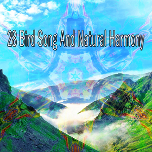 舒緩寧靜的靈魂