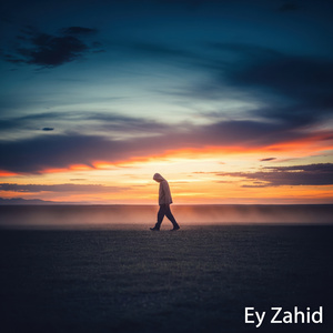 Ey Zahid