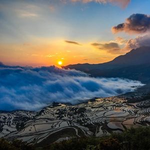 《Synthwave Shado020