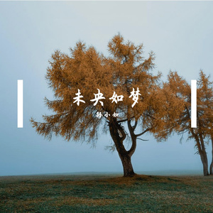 回来我的爱 (31)