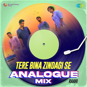 Tere Bina Zindagi Se Analogue Mix