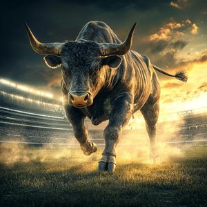 Texans (Bulls on Parade)