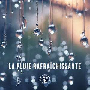Pluie maussade