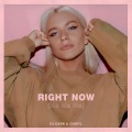 Right Now (Na Na Na)