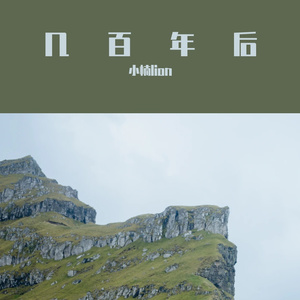 几百年后