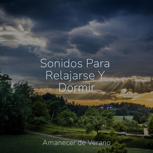 Susurros en la tormenta de arena