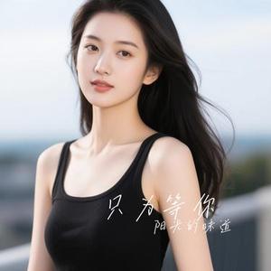 只为等你 (Cover 追风筝的人-w)