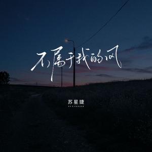 不属于我的风