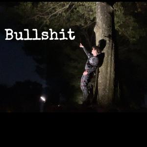Bullshit