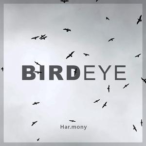 Birdeye