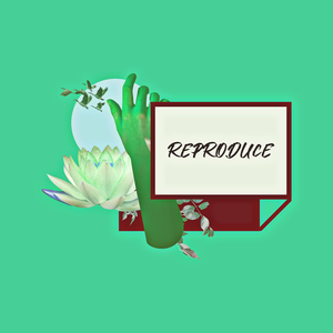 Reproduce