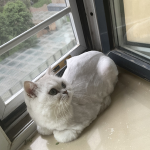 Luckin（Prod.Morrow x FAS）