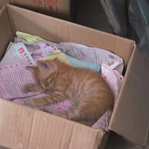 我的价值（Prod CuD）