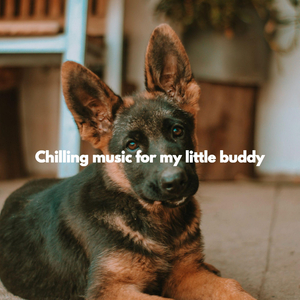 Wonderful Duo - Vibe for Lovely Power