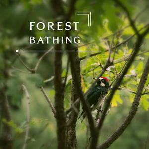 充满能量的海边静浪