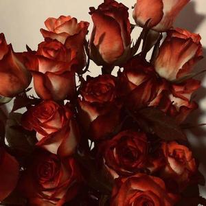 BABY YOU (Prod by BECU BEATZ)