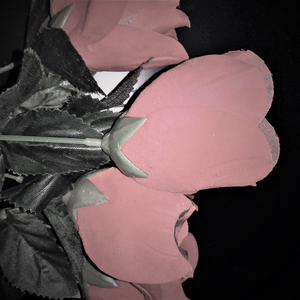 The Way Things Use to Be