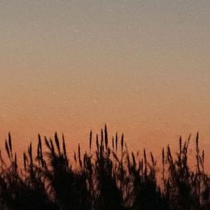 不被定义的她（Prod By Lisure）