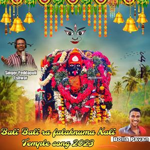 BALI BALI RA FALAKNUMA KALIKA MATHA NEW SONG 2023 SINGER PEDDA PULI ESHWAR