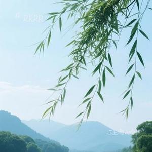 江上清风吟