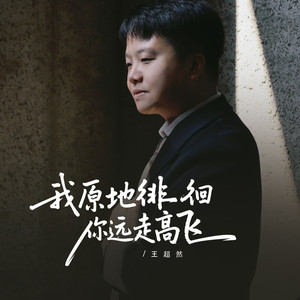 我原地徘徊你远走高飞 (DJ彭锐版)
