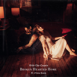 Broken Hearted Home